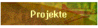 Projekte